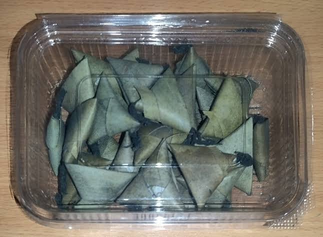 OLA VEDI (20 PCS)